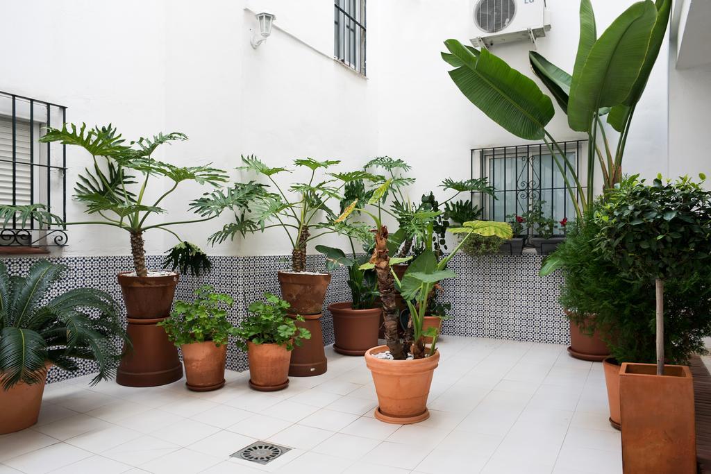 Urbanchicmalaga 3 Bedroom Spacious Quiet Historic Malaga Apt Kültér fotó